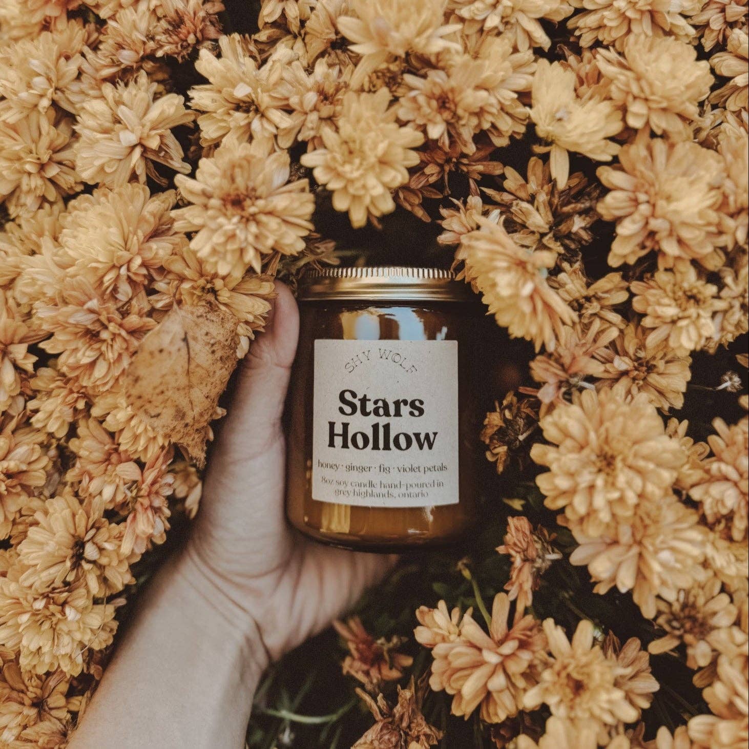 Stars Hollow Candle