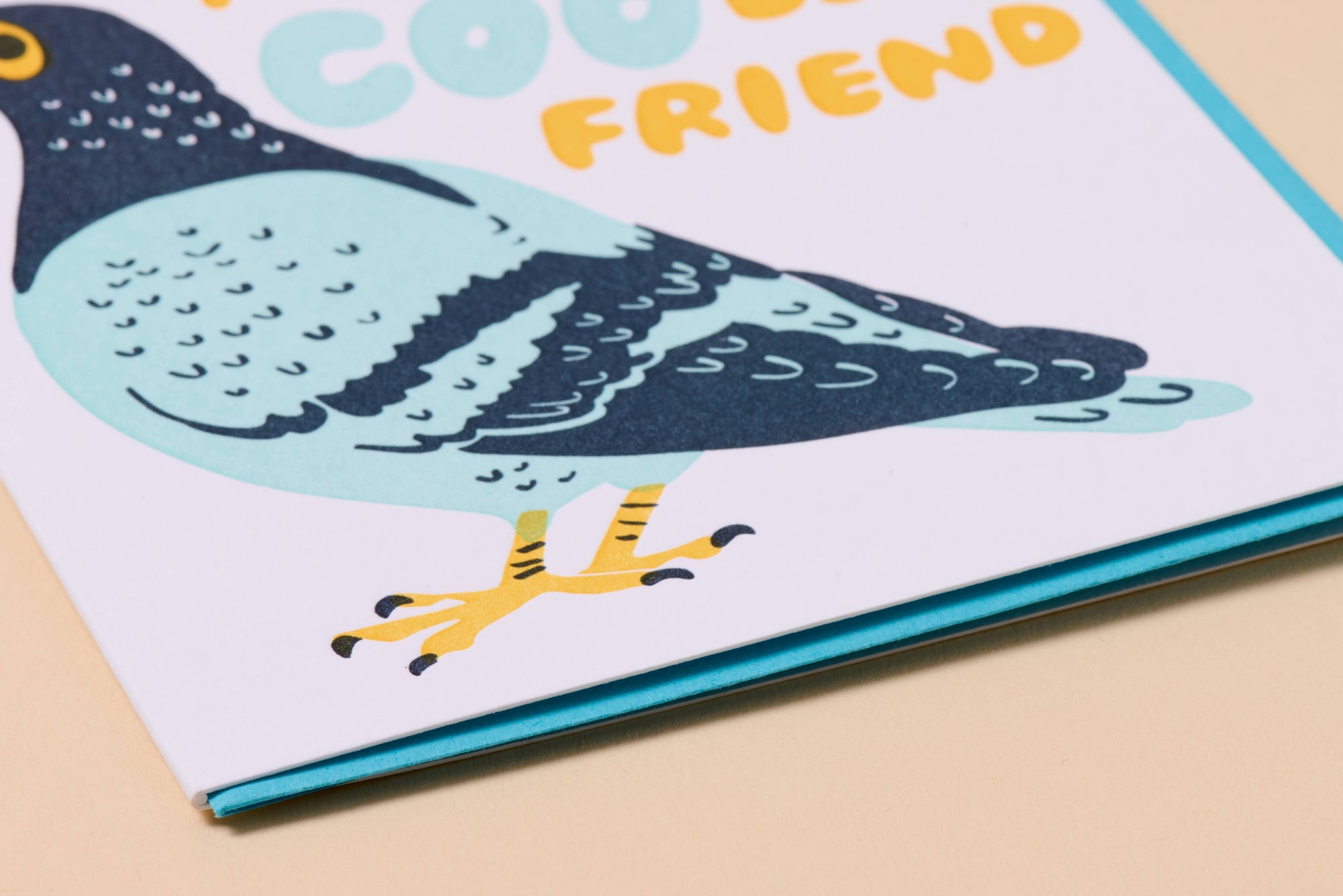 Witty Letterpress Birthday Greeting Card – Coo Pigeon
