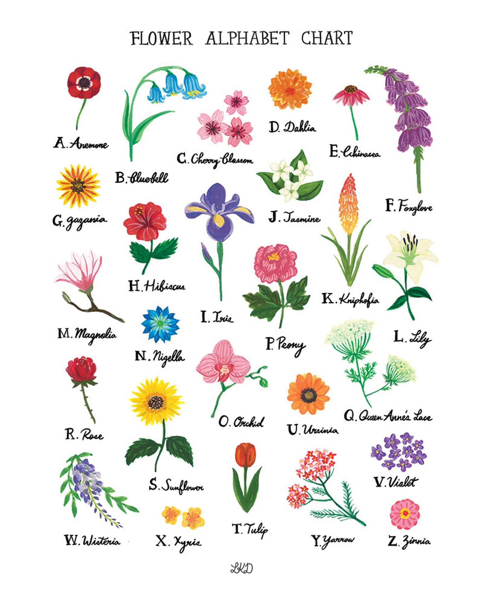 Flower Alphabet Chart