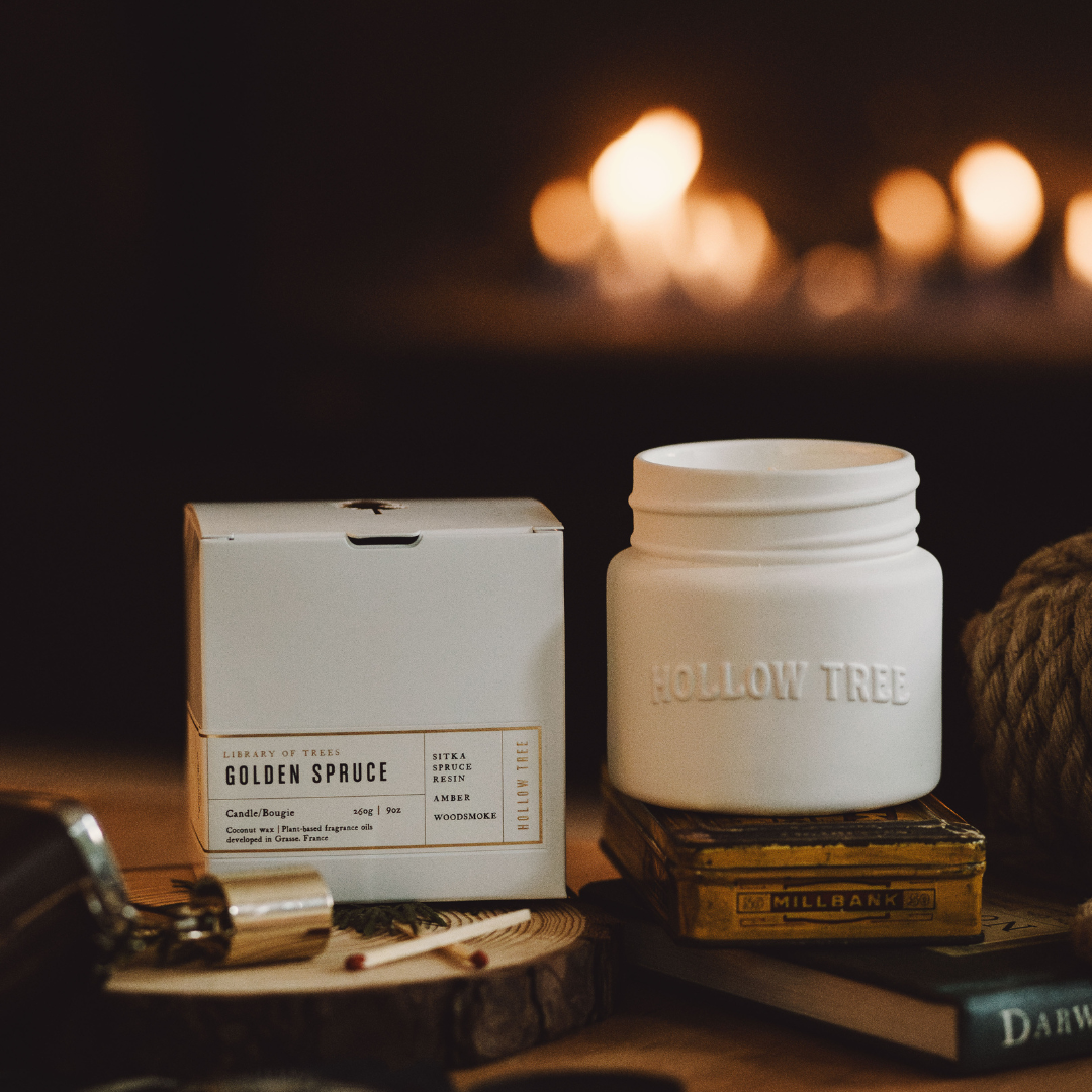 Golden Spruce | Candle 9oz | Coconut Wax | Ceramic Jar