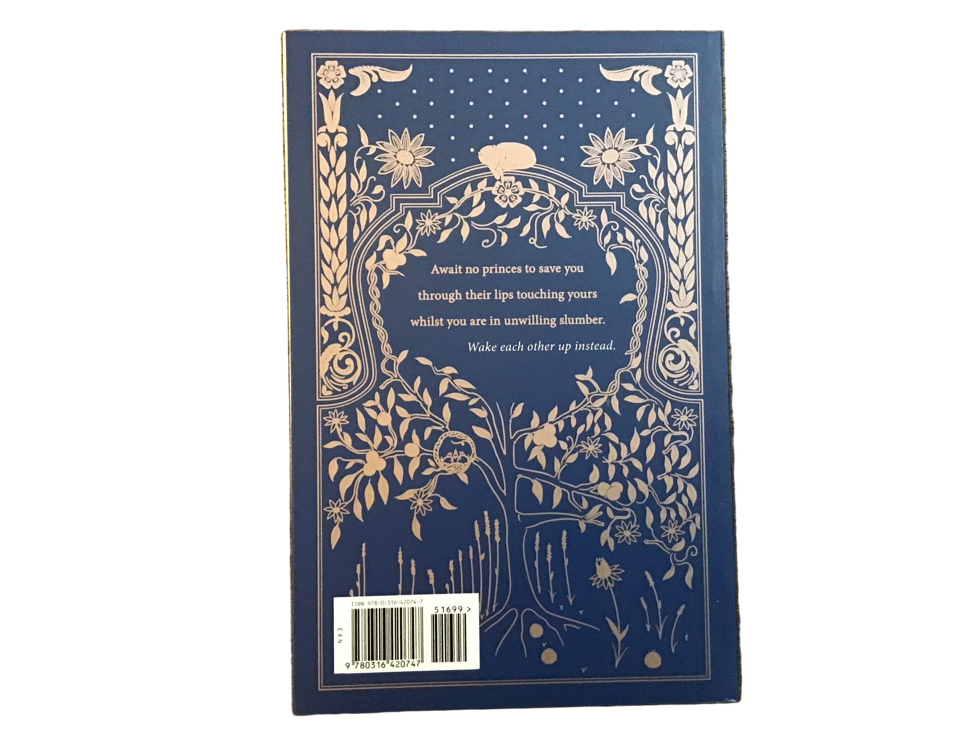 Fierce Fairytales - Poems & Stories