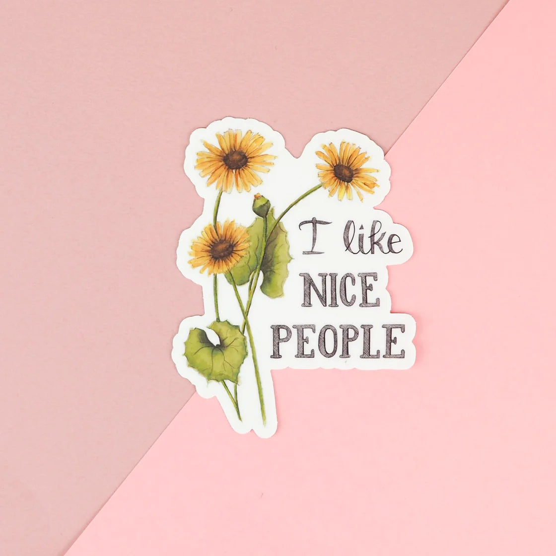 I Like Nice People Sticker