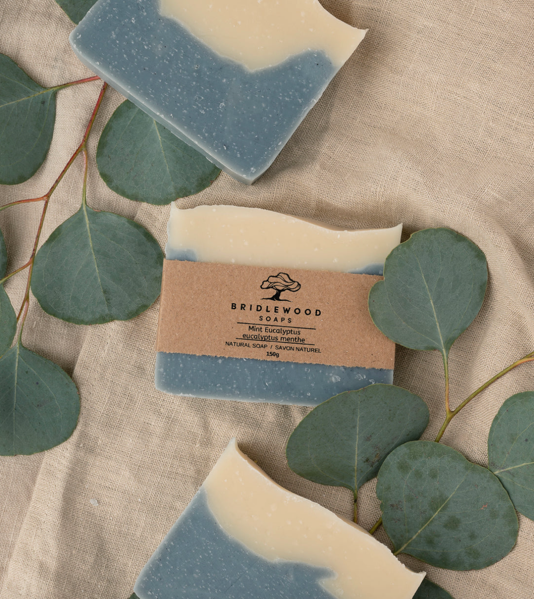 Mint Eucalyptus Bar Soap