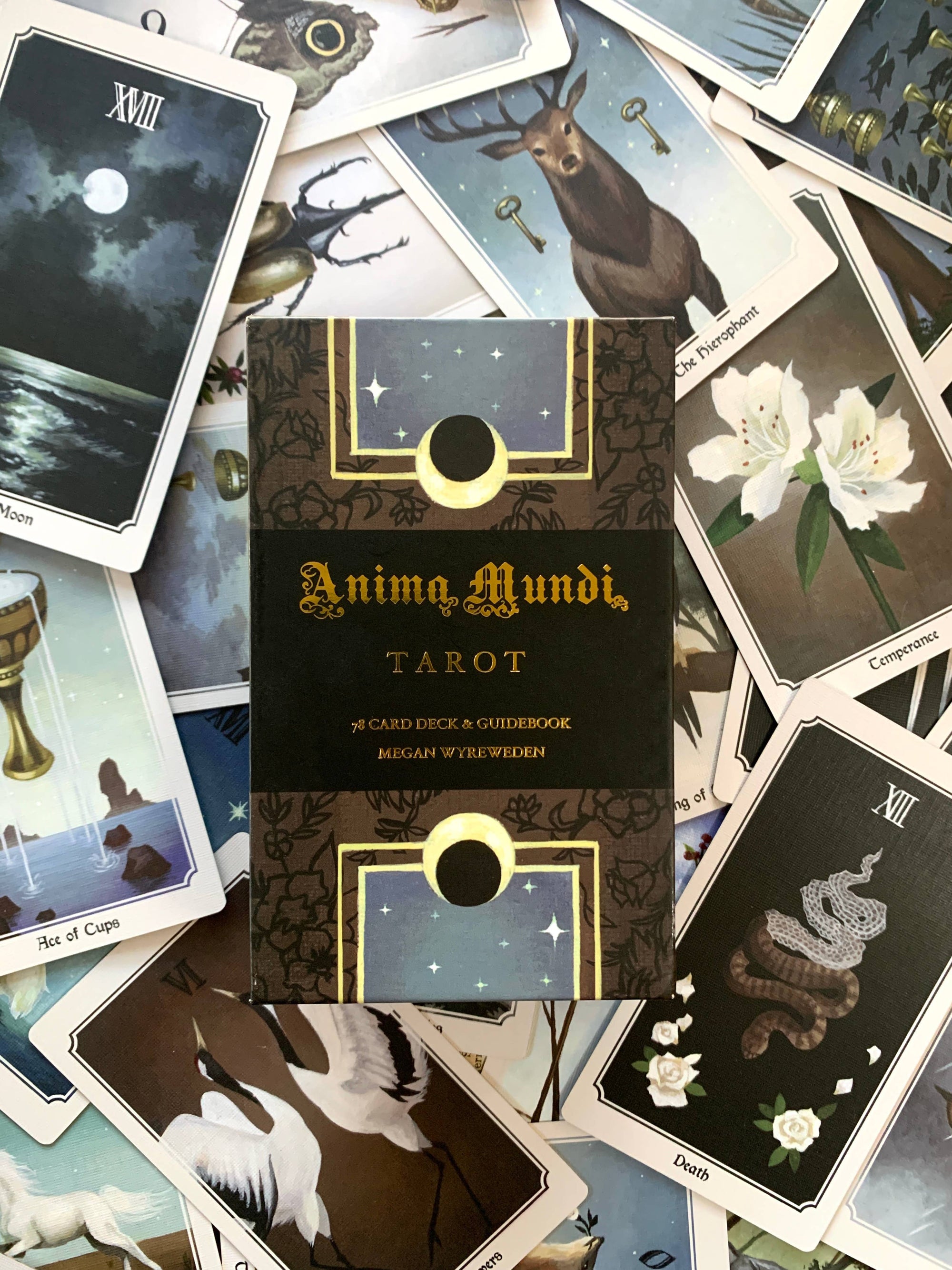 Anima Mundi tarot - 78 card deck with guidebook