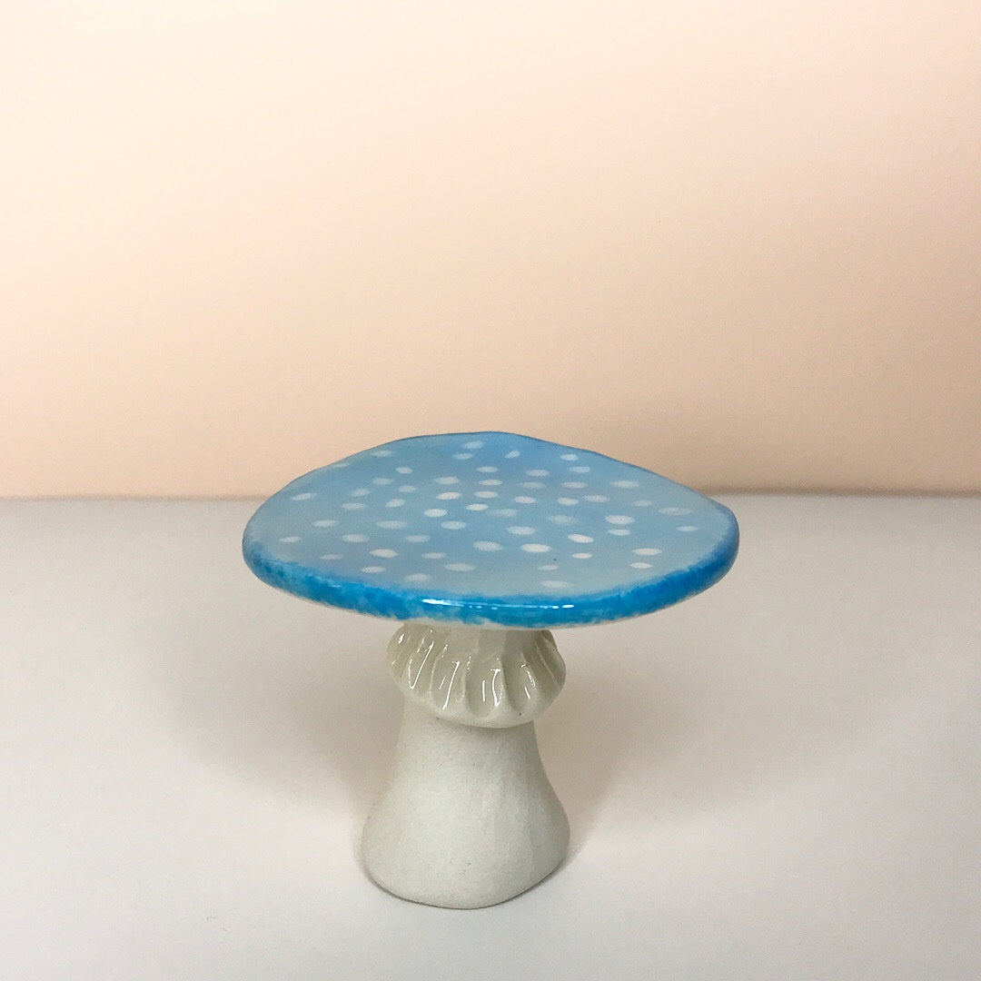 Small Blue Mushroom